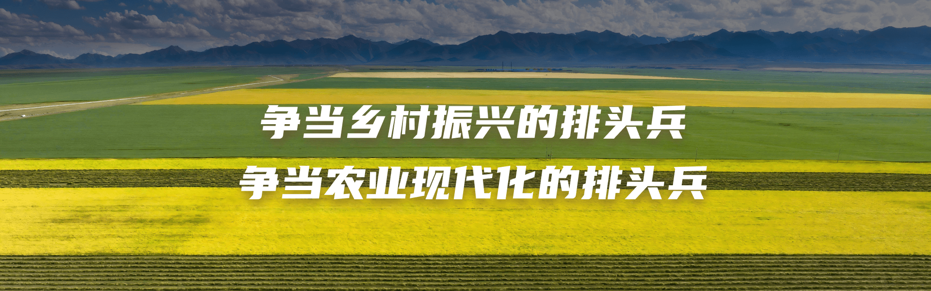 爭(zhēng)當(dāng)鄉(xiāng)村振興的排頭兵 爭(zhēng)當(dāng)農(nóng)業(yè)現(xiàn)代化的排頭兵