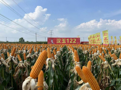 種業(yè)2.png 種業(yè)2.png